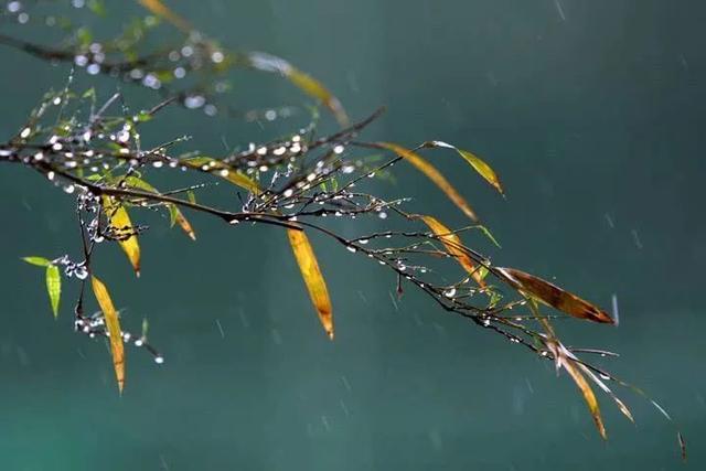 国庆中秋“雨”你同行？假期天气攻略请收好！