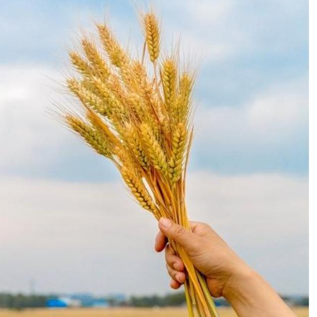 “小雪不见雪，来年长工歇”，今年的小雪节是晴，预兆着什么？