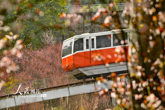 重庆：开往春天的列车