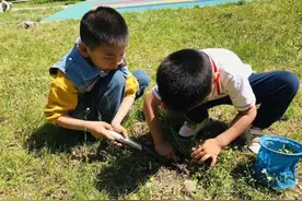 记者在现场丨挖婆婆丁 做菜团子！这波操作比大人还厉害图片