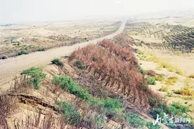 穿沙公路让沿线绿起来富起来火起来图片