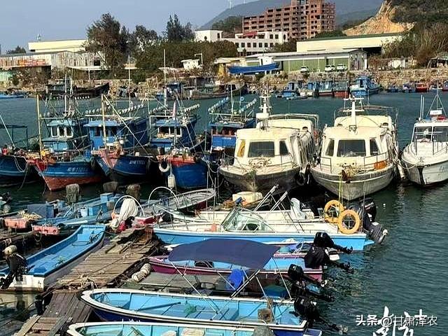 滚动 汕头台风预警再次升级，南澳大桥将采取相应管制措施