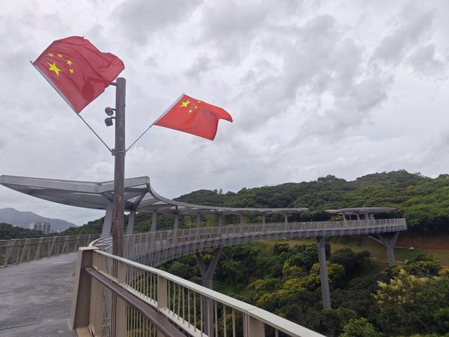 西丽湖国际科教城绿道高清随拍
