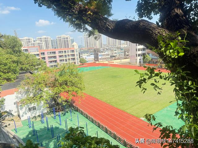 丹崖记：泽国山间的石与魂