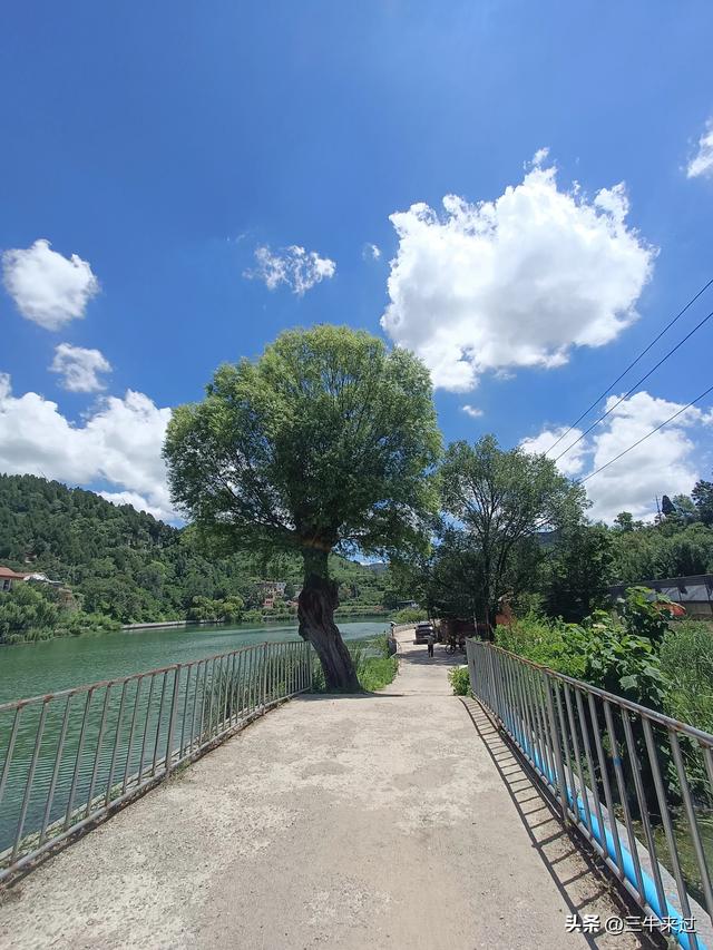无为在歧路，章丘东南行