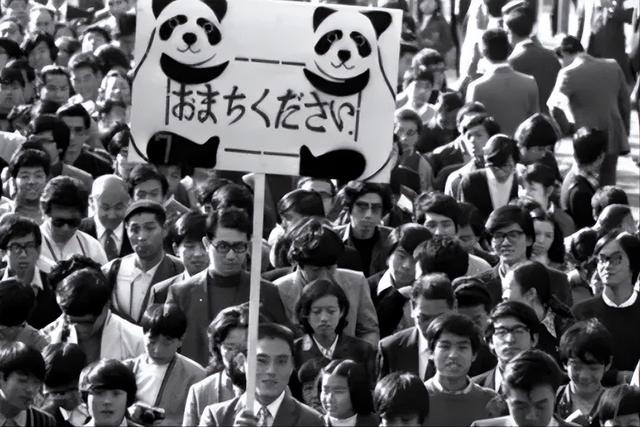 没有回旋余地，中国下令直接收回，17万日本人泪奔，高市闯祸了！