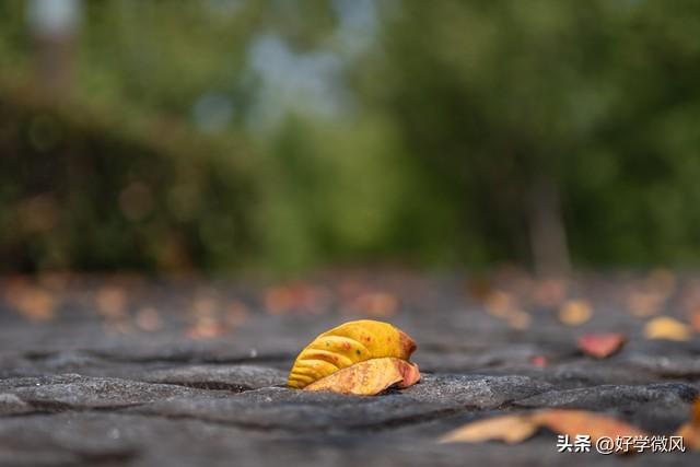 如果你已经七十岁，请花点时间看完此文，一定对你有所帮助