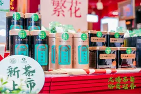 春茶吐新绿，茶香引客来图片