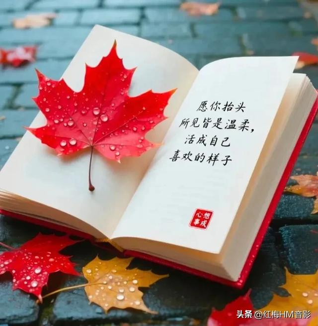 人生感悟：看淡人间事 释怀心中念