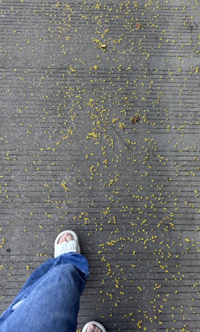 陪小老头闯301前列腺穿刺！全过程无废话分享，看完不慌了