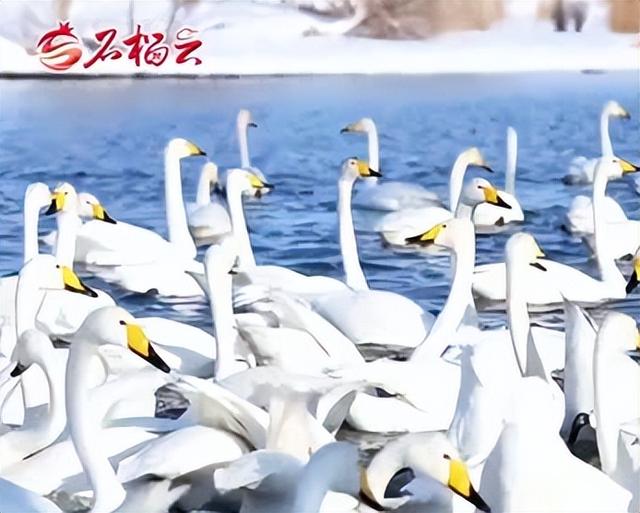 新疆3月3日资讯