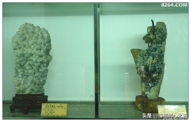 山东行游影记（31）—平邑天宇自然博物馆（六）