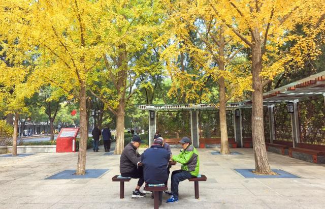 全龄友好,四季皆景!皇城根遗址公园焕新升级,超多美图→