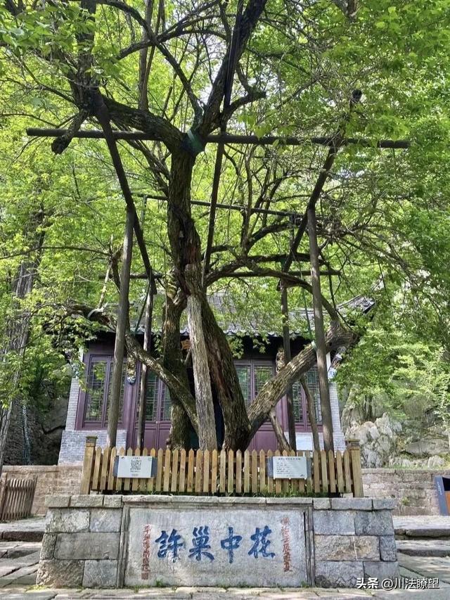 【江油】由“李白故里”门可罗雀说开去