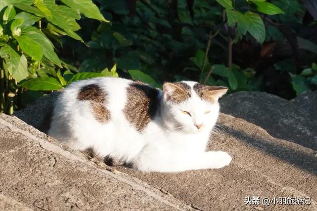 8月家庭出游首选！这8个宝藏地，好玩不贵不踩雷，全家都满意！