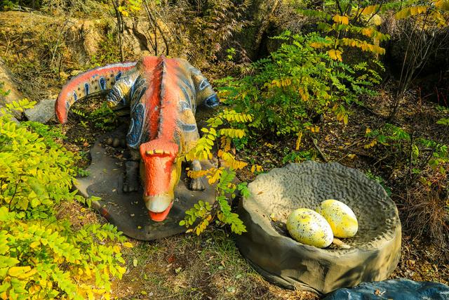 泗水县万紫千红旅游区：静谧而斑斓的生态画卷