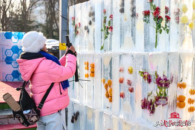 来沈阳滑冰嬉雪，把冬天过成一首沸腾的诗！