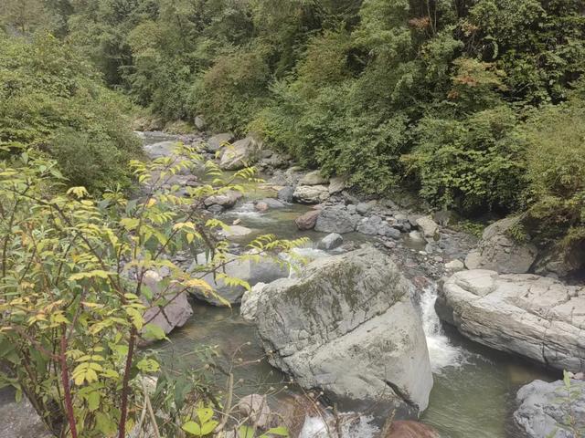 彩林、红叶……在黑竹沟邂逅一场秋日的浪漫