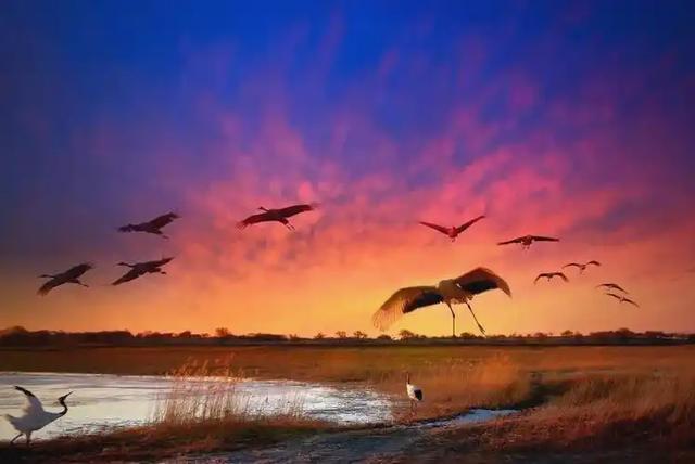 长白山 22 万人挤爆!央媒 200 篇 ,社媒 20 亿曝光!东北秋游火得非偶然