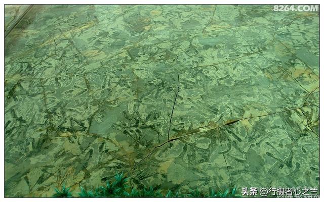 山东行游影记（30）—平邑天宇自然博物馆（五）