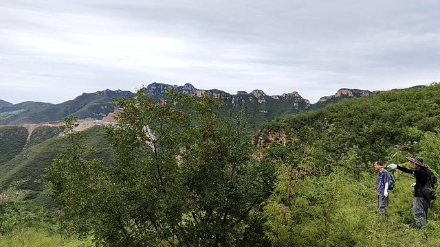 曼天垴，一座被遗忘的荒山