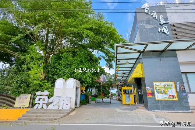 南投名间景点 天空步道、茶园秘境、品味台湾茶文化