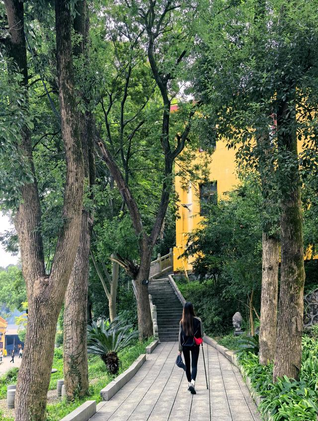 我是成都人，在湖南宁乡待了五天，憋不住想说说我的感受和疑问！
