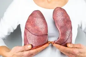 千寒易除，痰湿难去！两味药泡水，一味养肺，一味健脾！图片