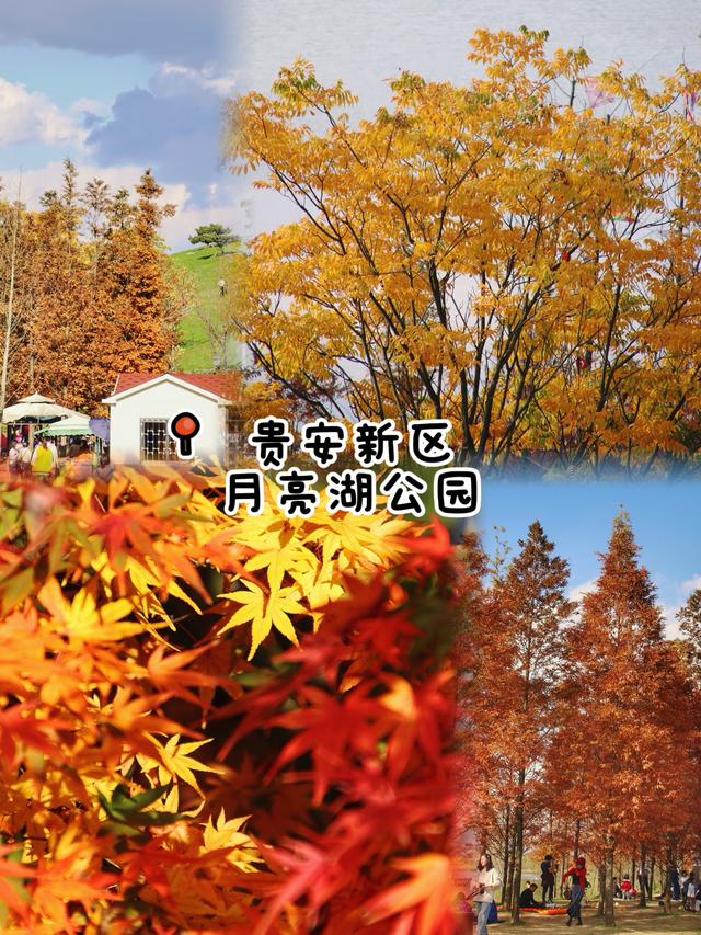 🌲别再去观山湖公园挤了！这9个小众地同样美到爆