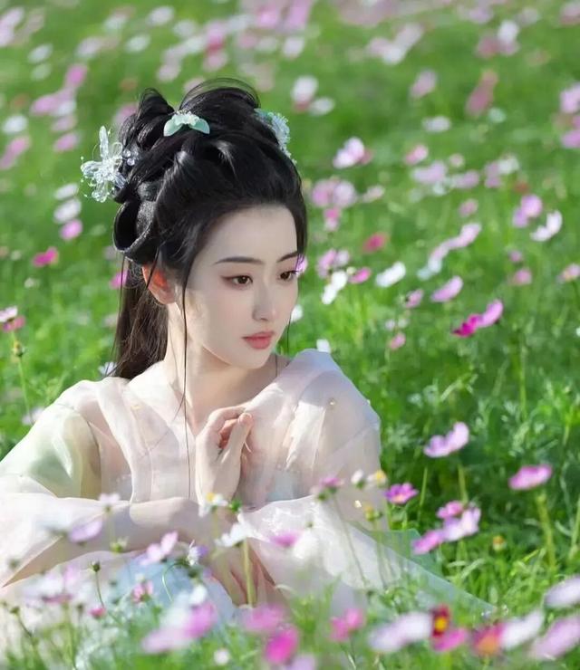 这个周末，来遵义打卡格桑花