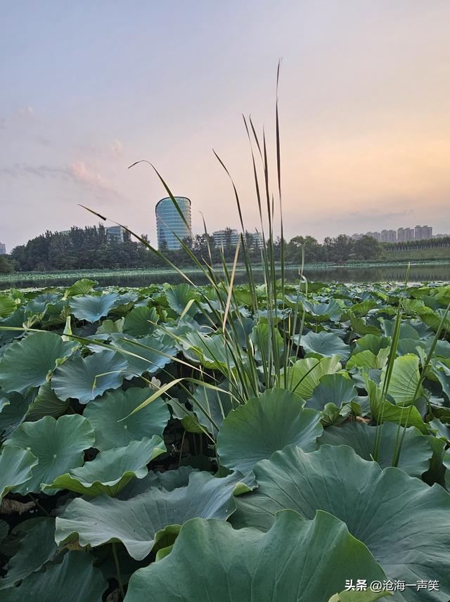 追逐晨曦，追逐阳光，追逐清晨的第一缕阳光，它照耀你前行的路！