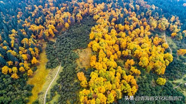 【秋日青海】假期邂逅乡趣卡阳，在云雾与秋色中共舞