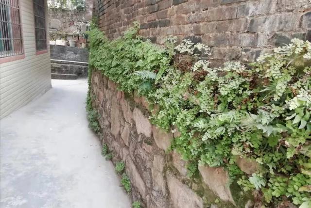 大美之音丨余家巷在余庆