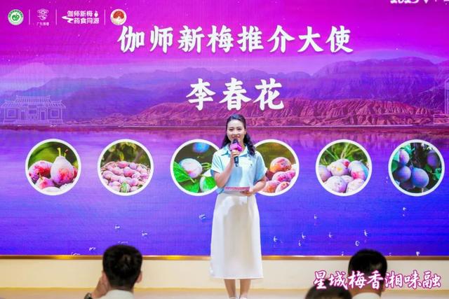 精彩回顾：2025中国新疆喀什·伽师新梅万里行宣传推介活动成都站、长沙站高光图集来啦！