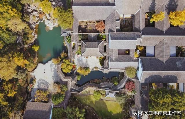 51张照片告诉你，南京的秋天有多美！