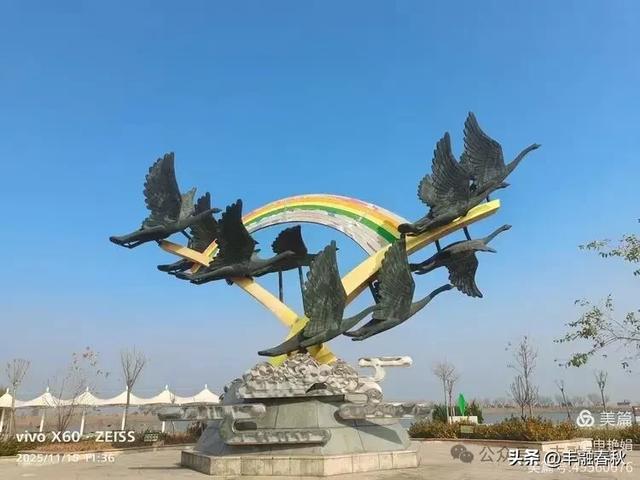 苇风载秋，鹤影映波——河北黄骅南大港湿地的初冬漫游｜ 申艳娟