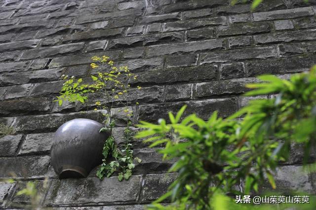 2023年春重庆探亲记（三）