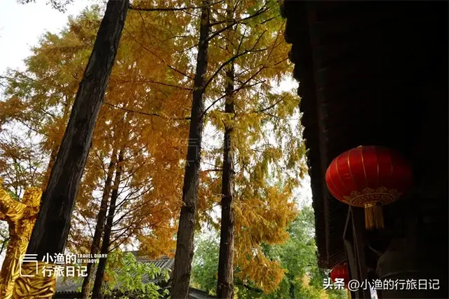 西安闹市四季皆美的秘境，秋色已斑斓！地铁直达0门票