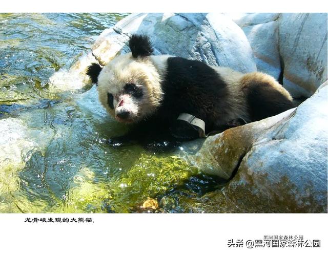点击查看黑河的山水图鉴，让传说中的美景照进现实！