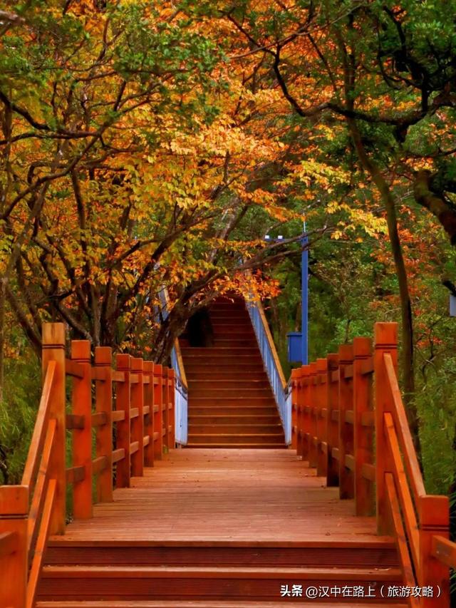 秋假即将开启，汉中多景区发布免票优惠政策→