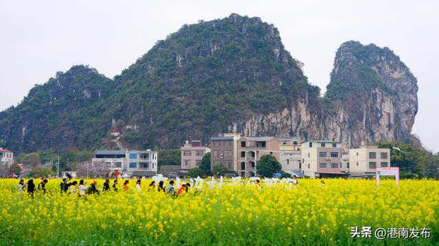 不负花期，不负春光，山边等你