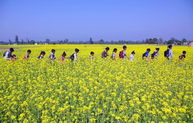 3最应该去哪儿玩？婺源万亩梯田油菜花盛开，错过再等一年