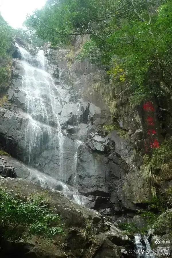 远上乌岩岭上斜,白云生处白云尖!温州这处秋日美景值得一去!