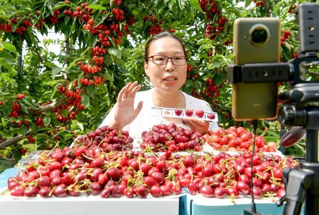 这一次，不得不去新安了！