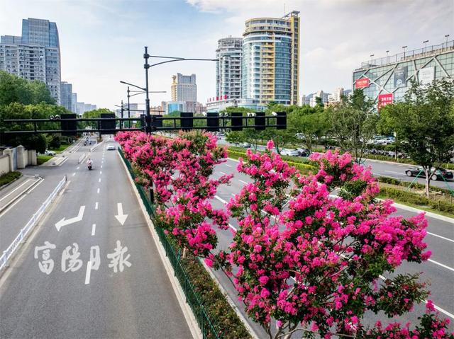 抓紧打卡！富阳人家门口的宝藏美景，错过要等明年！