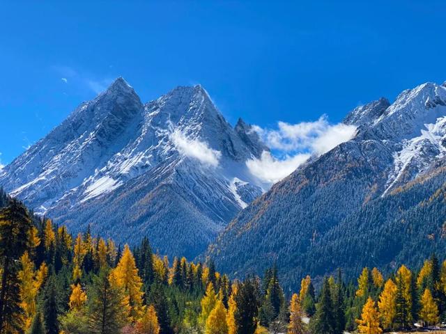 怦然心动！是四姑娘山的秋啊！