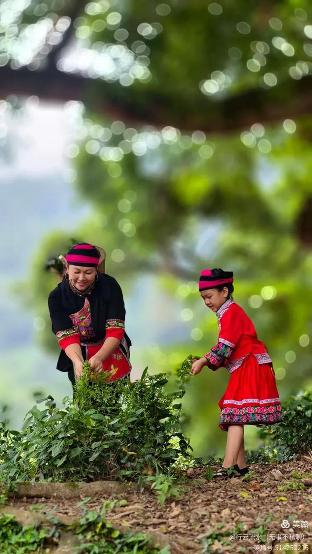 彩色旅图|光影里的霞浦:馒头山、下尾岛,半月里的畲族小姑娘