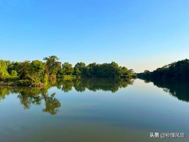广州最大的公园，相当于7.7个越秀公园，环境好，遛娃拍照好去处