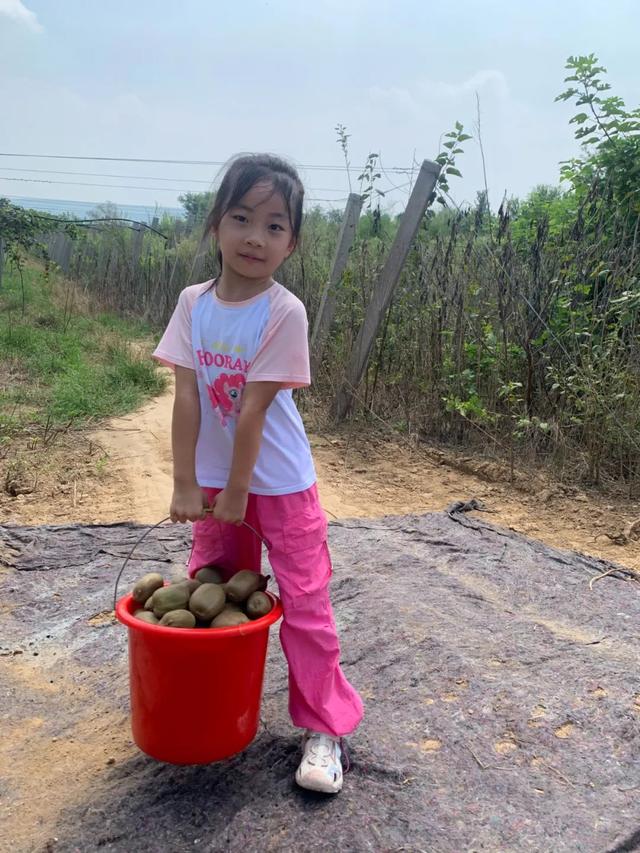 乡醇猕猴桃熟啦！解锁“桃”不掉的清凉采摘之旅