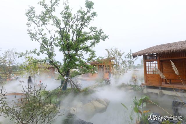 云梦仙境花开十月花雾醉游人